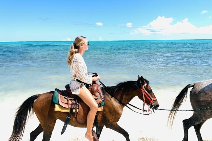 Private 60-Minute Beach Horseback Ride in Turks and Caicos