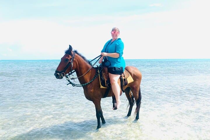 Private 60-Minute Beach Horseback Ride in Turks and Caicos photo 2