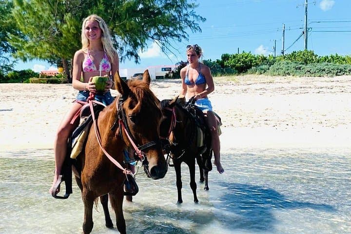 Kids Beach Horseback Ride in Providenciales, Turks and Caicos photo 2