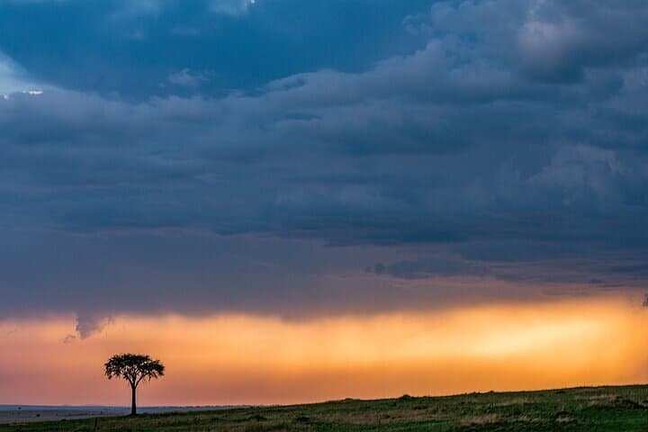 7-Day Safari: Masai Mara, Lake Nakuru & Amboseli in Upgraded Camps photo 6