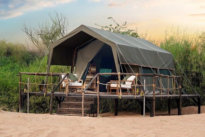 Overnight Dubai Desert Safari: Glamping, Dune Driving & Stargazing in the Dubai Desert Conservation Reserve photo 3