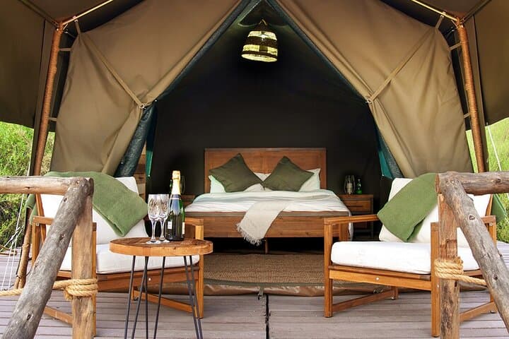 Overnight Dubai Desert Safari: Glamping, Dune Driving & Stargazing in the Dubai Desert Conservation Reserve