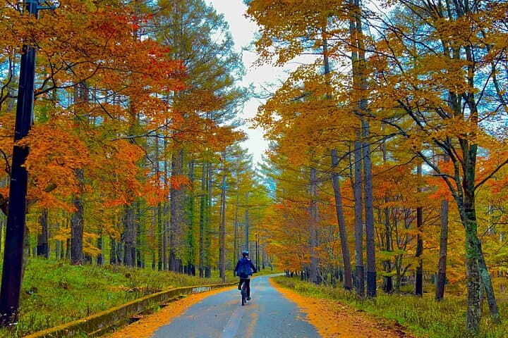 Nikko Premium Cycling Tour: Oku-Nikko Scenic Ride with Zazen