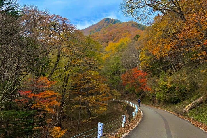 Nikko Premium Cycling Tour: Oku-Nikko Scenic Ride with Zazen photo 4