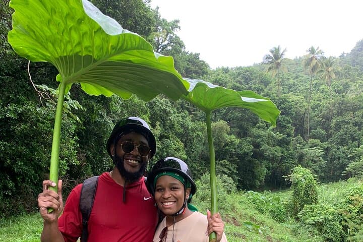ATV Adventure Through Bellwood Layou Rainforest — Petroglyph Park & Waterfall Ride photo 3