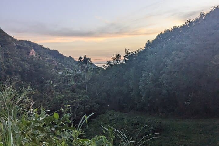 ATV Adventure Through Bellwood Layou Rainforest — Petroglyph Park & Waterfall Ride photo 4