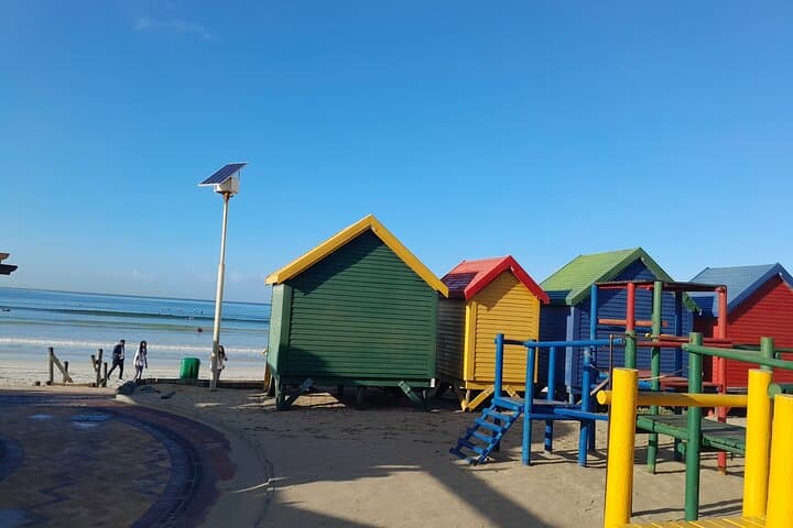 Cape Peninsula Private Tour: Table Mountain, Penguins & Groot Constantia Wine Tasting photo 6