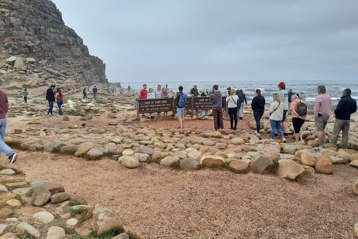 Cape Peninsula Private Tour: Table Mountain, Penguins & Groot Constantia Wine Tasting