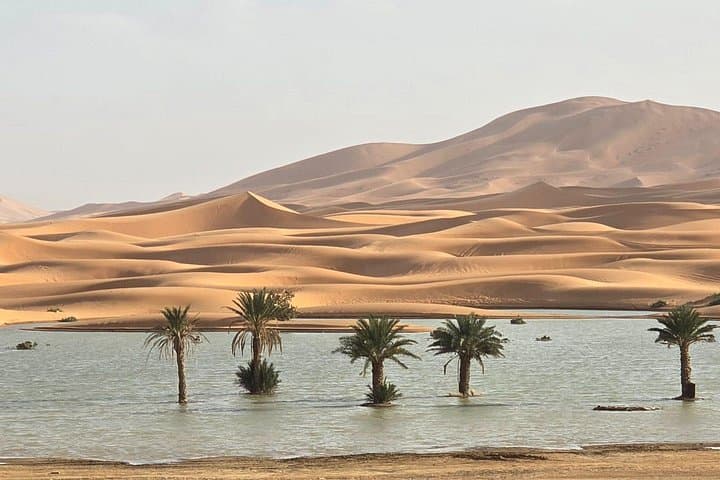 Marrakech to Merzouga: Safari, Nomads Life & Atlas Mountains Trek photo 4