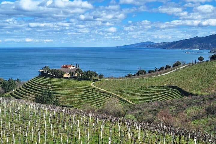 Half-Day Txakoli Wine and Getaria Tour from San Sebastián