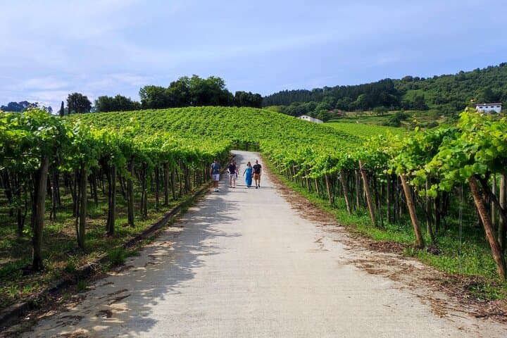 Half-Day Txakoli Wine and Getaria Tour from San Sebastián photo 2
