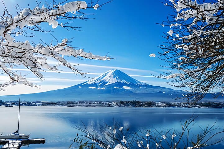 Private Mount Fuji Day Tour from Tokyo: Chureito Pagoda, Kawaguchi & Oshino Hakkai photo 1
