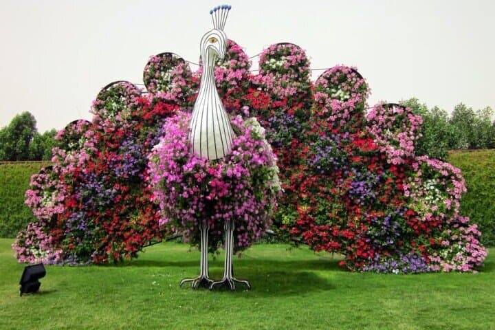 Dubai Miracle Garden: Skip-the-Drive Tickets with Optional Hotel Pickup