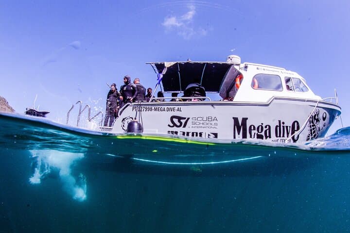 Sesimbra Introductory Scuba: First Ocean Dive Near Lisbon photo 4