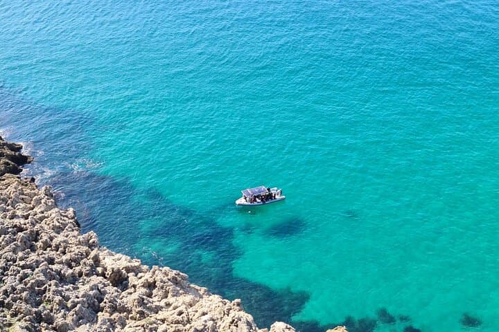 Sesimbra Snorkel Boat Trip: Explore Arrábida’s Kelp Forests and Rocky Reefs photo 6