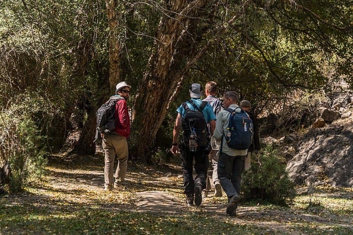 Iskandarkul Escape: 2-Day Fann Mountains Hike & Local Guesthouse Stay photo 4