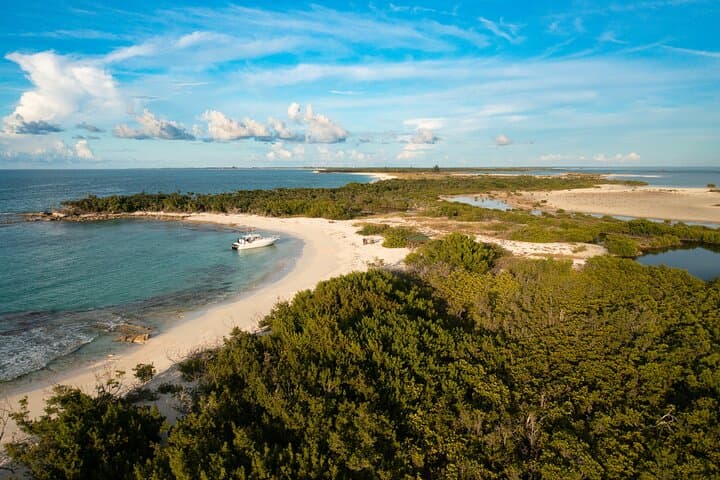 Private Half-Day Snorkel & Cruise on Serendipity — Providenciales Reef Adventure photo 2