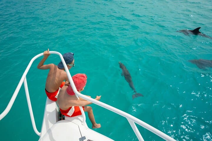 Private Half-Day Snorkel & Cruise on Serendipity — Providenciales Reef Adventure photo 4