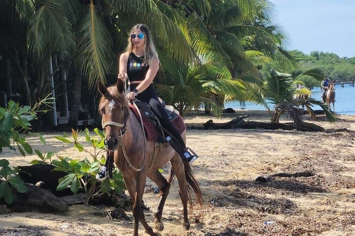 Roatán Sandy Bay Horseback Beach Ride with Chocolate & Rum Tasting
