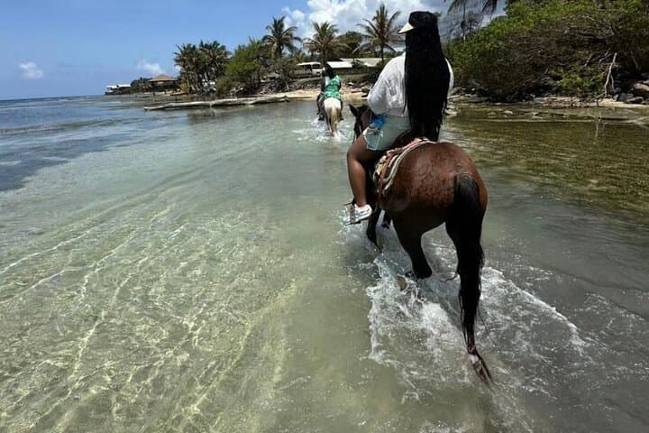 Roatán Sandy Bay Horseback Beach Ride with Chocolate & Rum Tasting photo 3