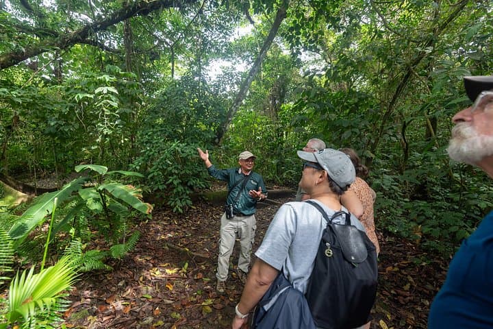 Arenal Hanging Bridges & Volcano Hike — La Fortuna Rainforest & Lava Trails photo 3
