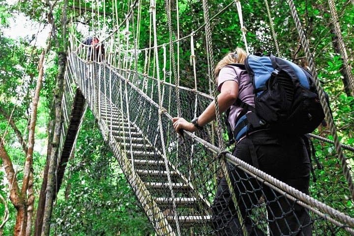 Taman Negara Day Trek & Canopy Walk from Kuala Lumpur: Jungle Boat Ride and Orang Asli Village Visit