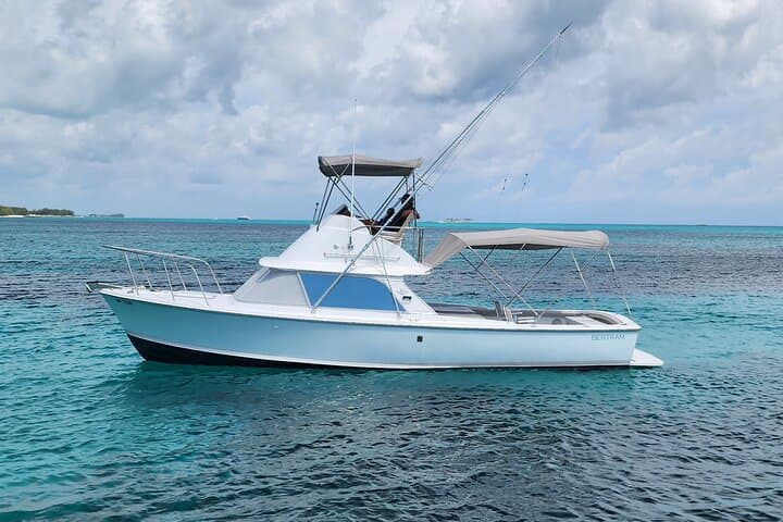 Private Nassau Charter: Snorkel Reefs or Fish Offshore on a 31ft Bertram