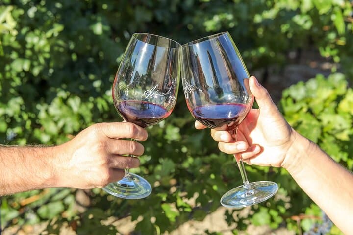 Paso Robles Gold Reserve Flight — Exclusive Al Lago Estate Tasting photo 4