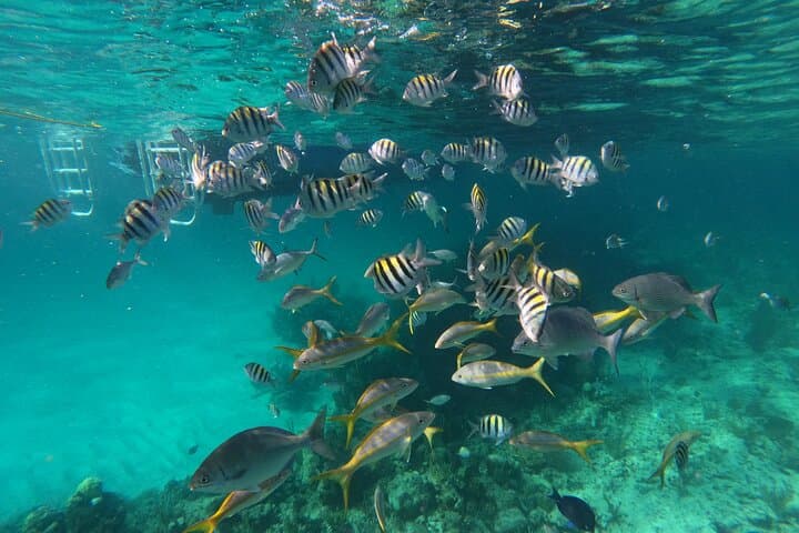 Private 34ft Speed Boat Snorkeling & Fishing Charter in Nassau photo 3