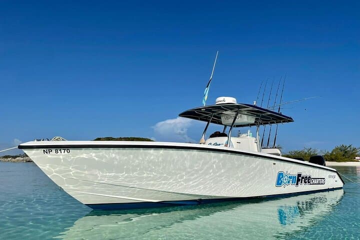Private 34ft Speed Boat Snorkeling & Fishing Charter in Nassau photo 1