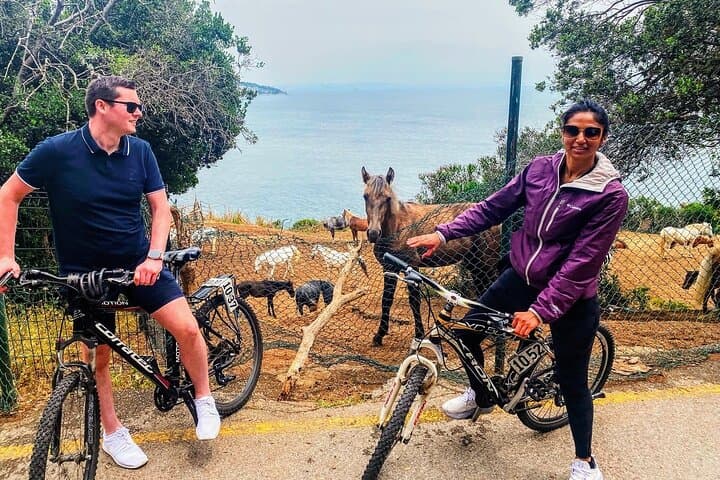 Büyükada Cycling Tour: Bike the Princes' Island with a Local Guide photo 4