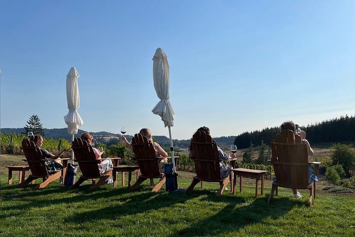 Private Willamette Valley Wine Tour from Allison Inn — Dundee Hills & Boutique Wineries photo 2