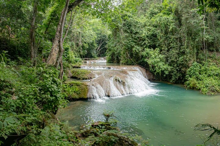 Copalitilla Waterfalls from Huatulco: Jungle Hike, Coffee Tasting & Natural Pools photo 5