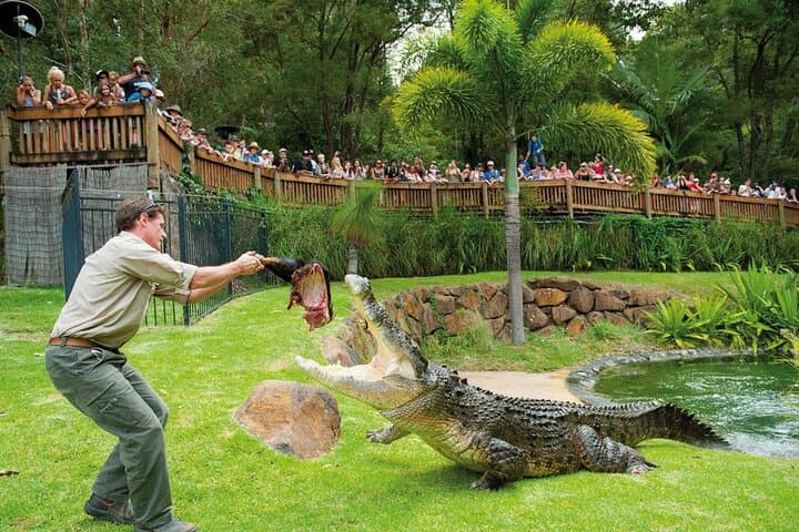 Currumbin Wildlife Sanctuary to Byron Bay Lighthouse: Gold Coast Day Tour in Chinese photo 2