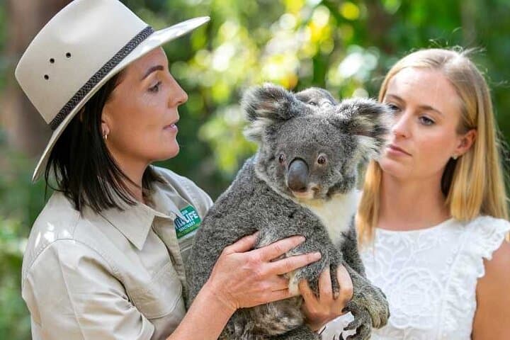 Currumbin Wildlife Sanctuary to Byron Bay Lighthouse: Gold Coast Day Tour in Chinese photo 5