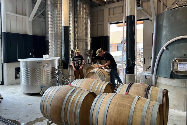 Winter Willamette Valley Wine Tour: Cozy Tastings and Fireside Views photo 3