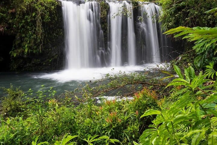 Private Road to Hana Rainforest & Waterfall Tour — Luxury, Custom Stops on the Hana Highway
