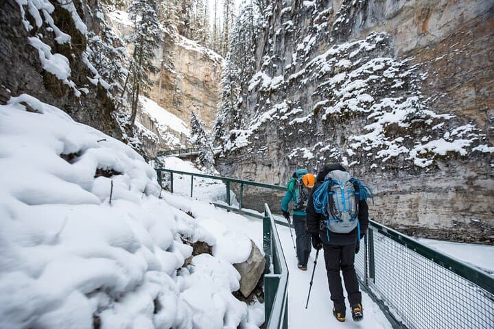 Calgary to Lake Louise: Johnston Canyon, Peyto Lake & Icefields Parkway Day Trip photo 5