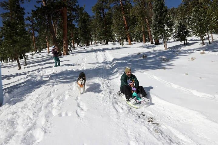 Ultimate Snowplay Adventure at Mount Charleston — Day Trip from Las Vegas photo 5