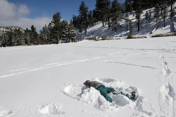 Ultimate Snowplay Adventure at Mount Charleston — Day Trip from Las Vegas photo 3