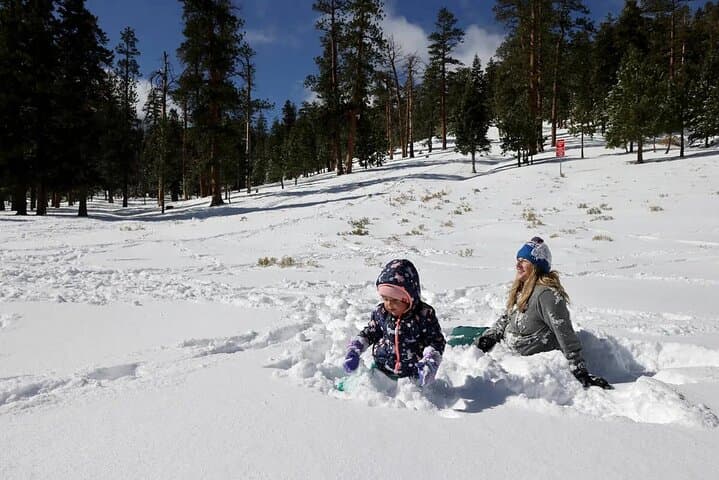 Ultimate Snowplay Adventure at Mount Charleston — Day Trip from Las Vegas photo 4