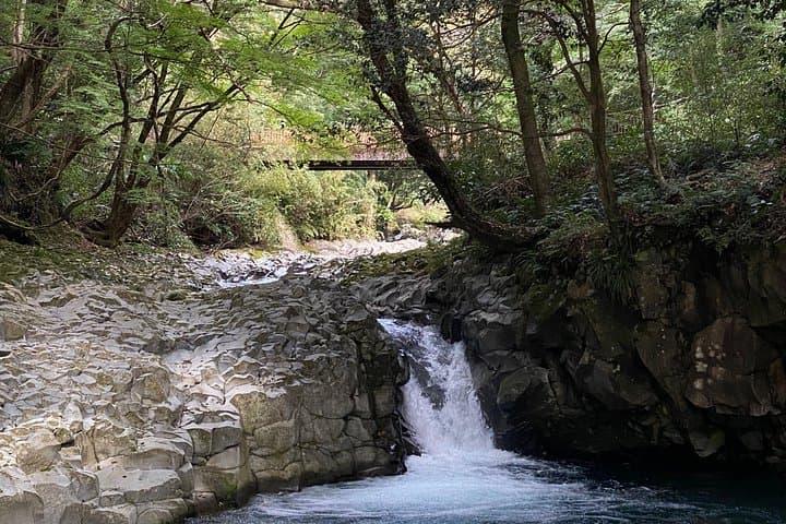Kawazu Seven Falls Private Guided Walk: Waterfalls, Lucky Gods & Coastal Forests photo 1