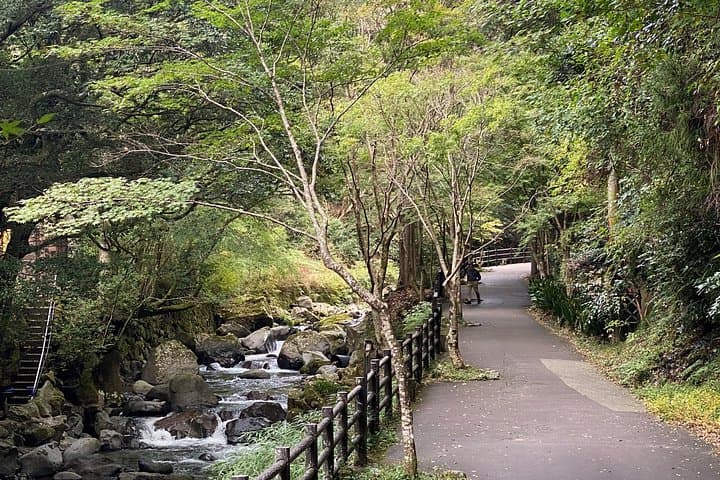 Kawazu Seven Falls Private Guided Walk: Waterfalls, Lucky Gods & Coastal Forests photo 2