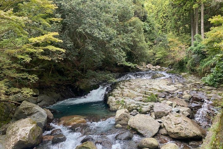 Kawazu Seven Falls Private Guided Walk: Waterfalls, Lucky Gods & Coastal Forests photo 3