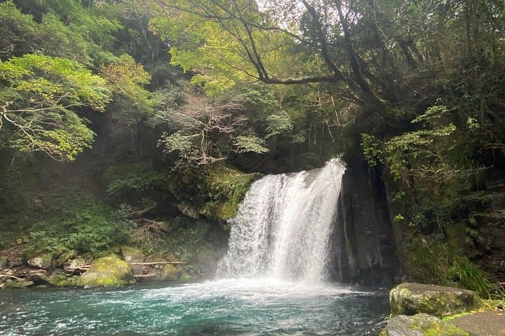 Kawazu Seven Falls Private Guided Walk: Waterfalls, Lucky Gods & Coastal Forests photo 4