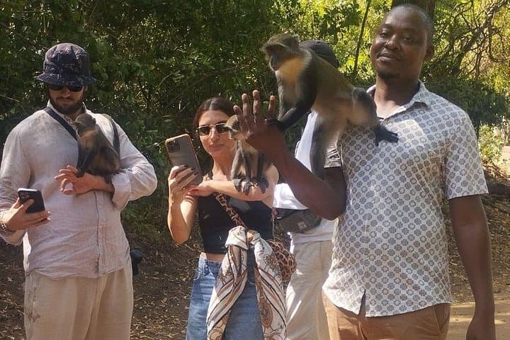 Gede Ruins & Malindi: Explore Swahili Coral Palaces, Butterfly Pavilion & Vasco da Gama Pillar