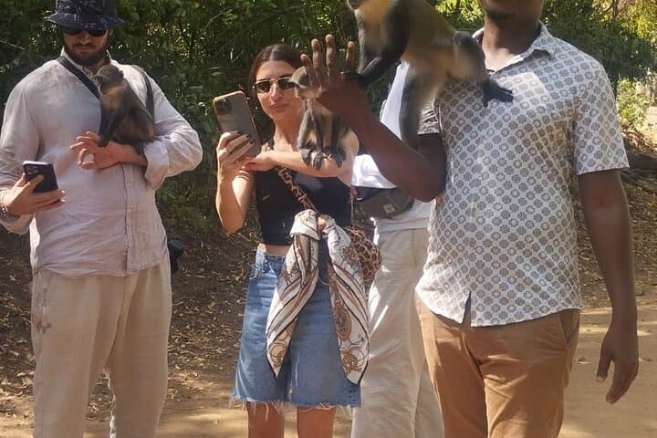 Gede Ruins & Malindi: Explore Swahili Coral Palaces, Butterfly Pavilion & Vasco da Gama Pillar photo 3
