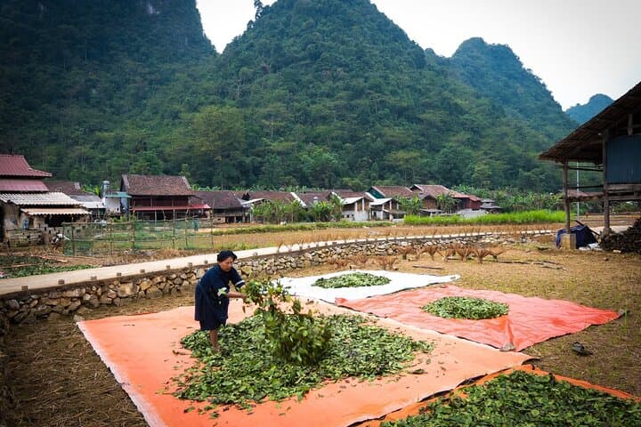 Cao Bang: 3-Day Ban Gioc & Pac Bo Scenic Adventure photo 5