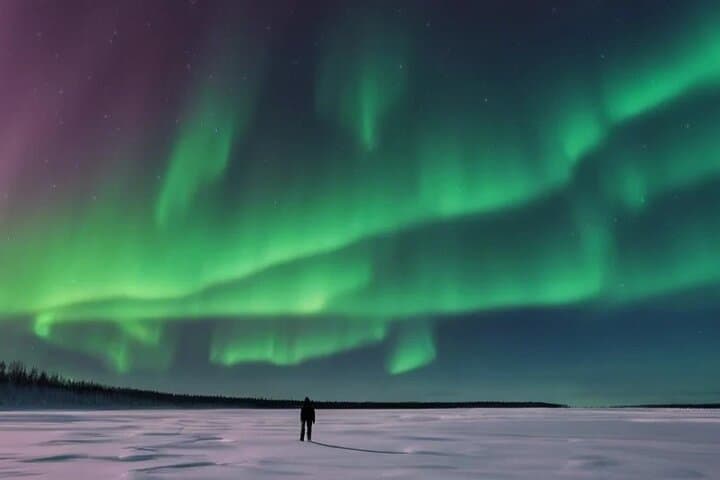 Private Northern Lights Experience in Rovaniemi — Forest Campfire Aurora Tour