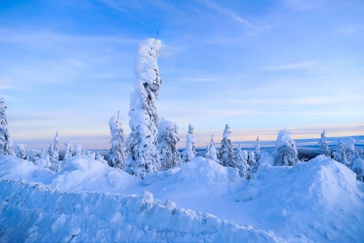 Crossing Into the Arctic: The Ultimate Arctic Circle Day Tour from Fairbanks photo 3